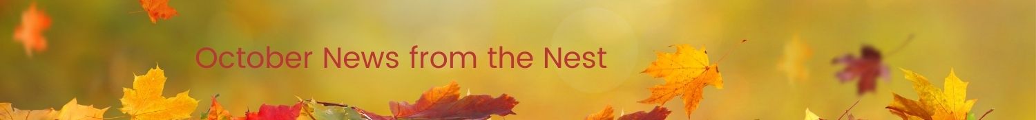 October '23 News from the Nest